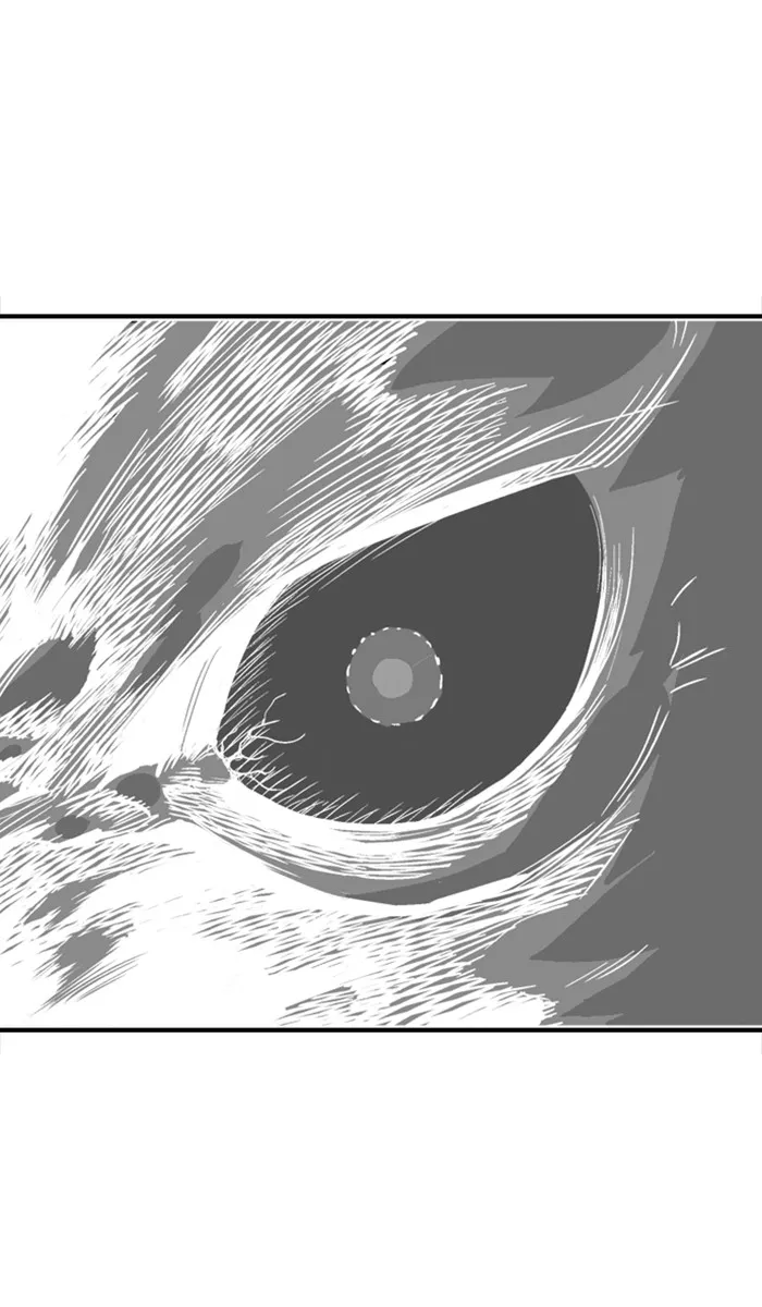 Chapter 156, page 72